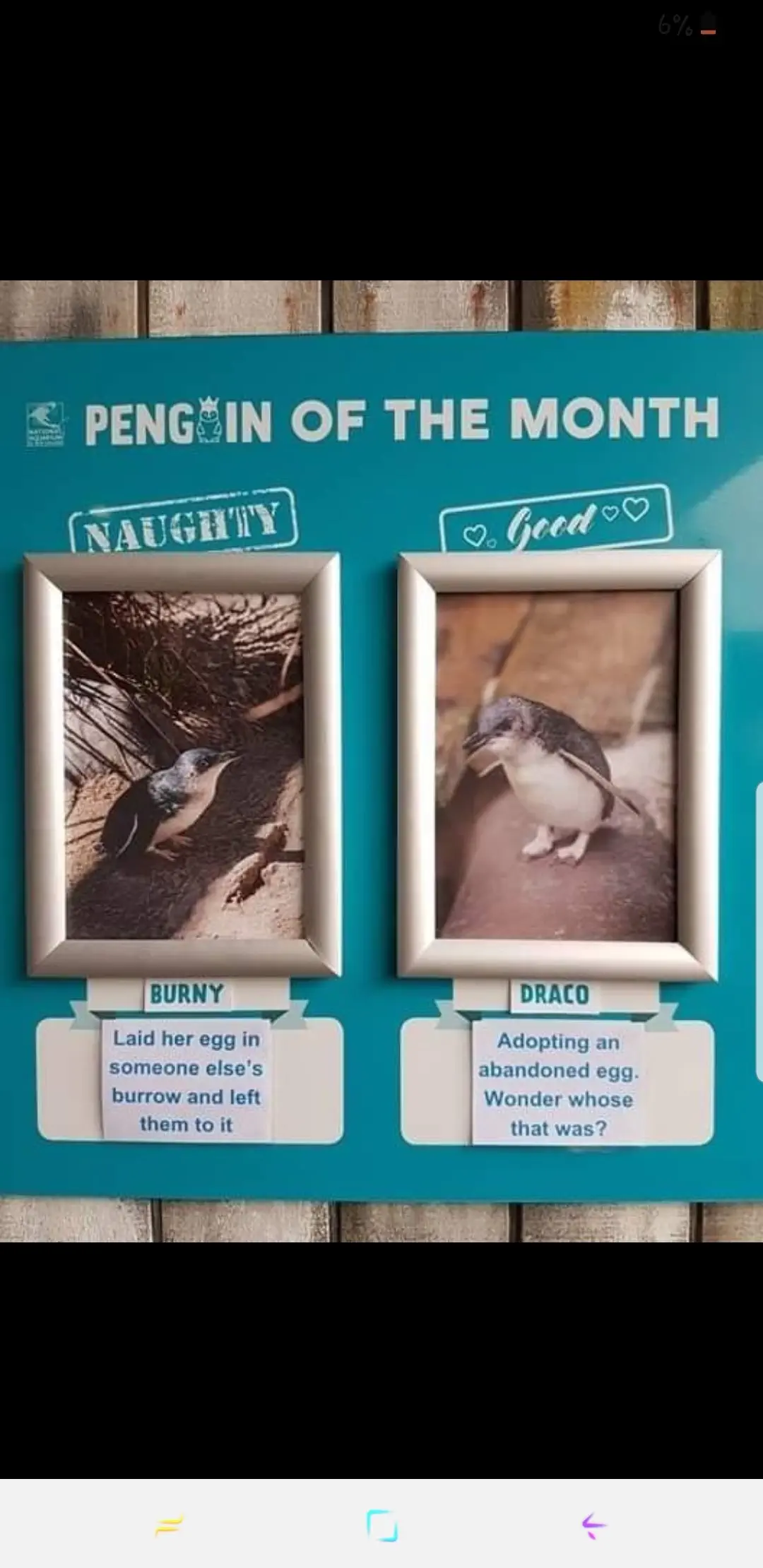 Image credit: Reddit | bryony_sian