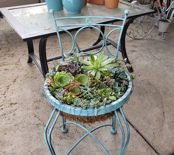 Image credit: Instagram | @neens_succulents