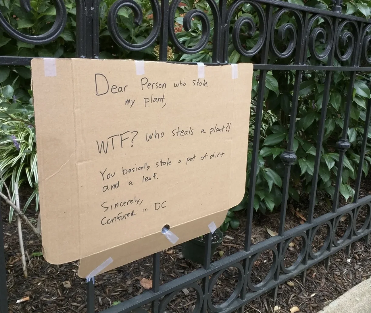 Image credit: Reddit | ZacharyCohn
