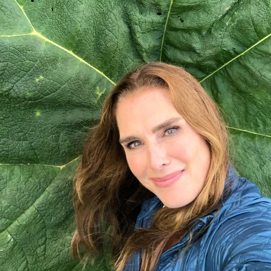 Image credit: Instagram | @brookeshields