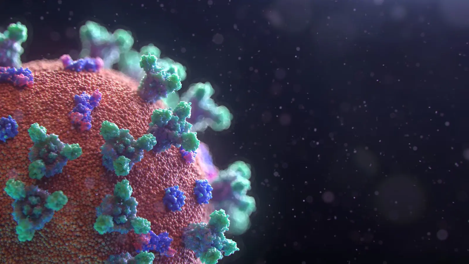 Image credit: Unsplash | Fusion Medical Animation