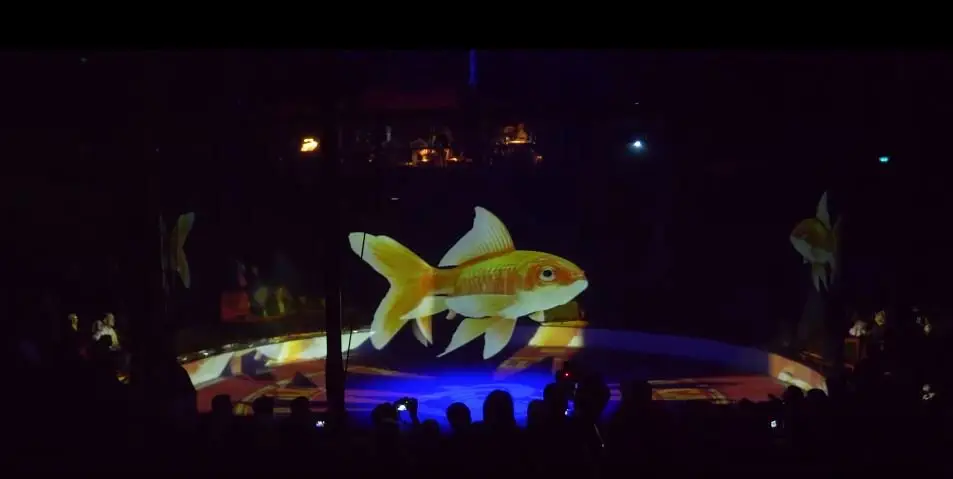 Image credit: YouTube | Optoma EMEA