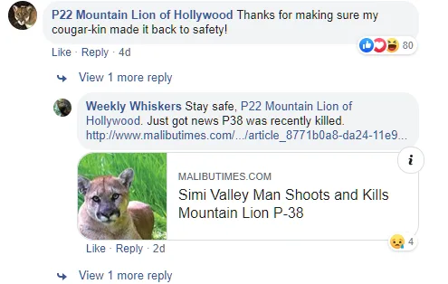 Image credit: Facebook | Tuolumne County Sheriff