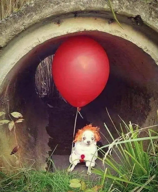 Image credit: Reddit | Sabermann