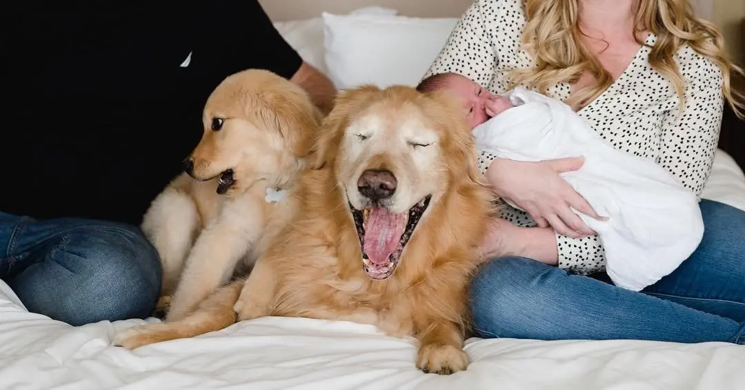 Image credit: Instagram | @charlieandmav