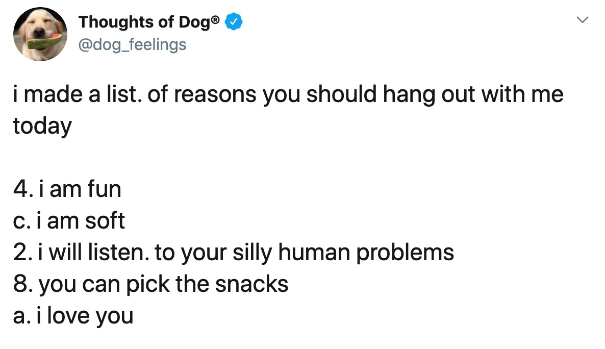 Image credit: Twitter | @dog_feelings