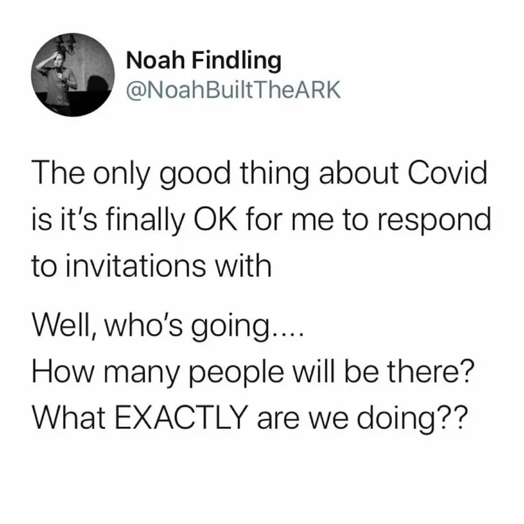 Image credit: Instagram | @noahbuilttheark