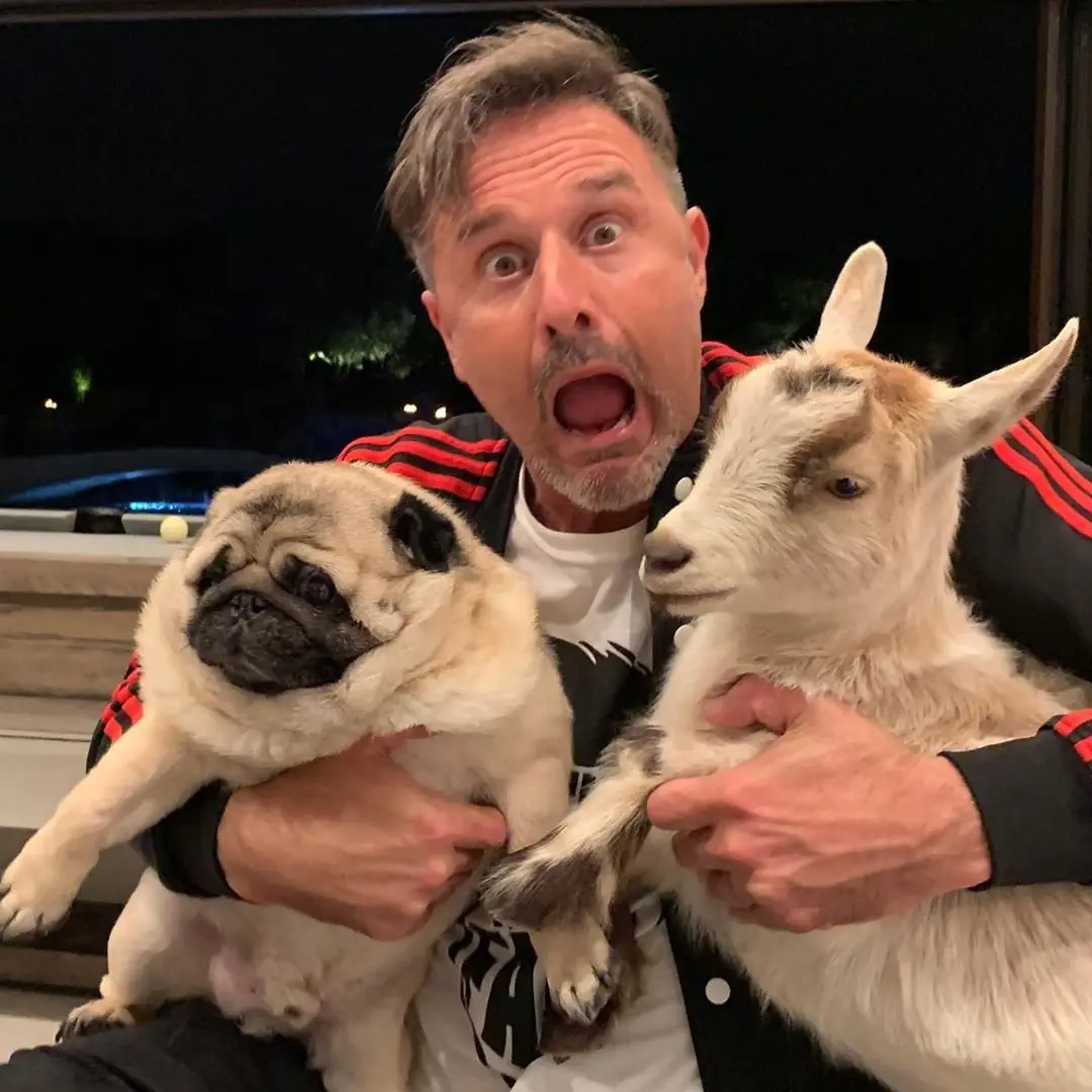 Image credit: Instagram | @davidarquette