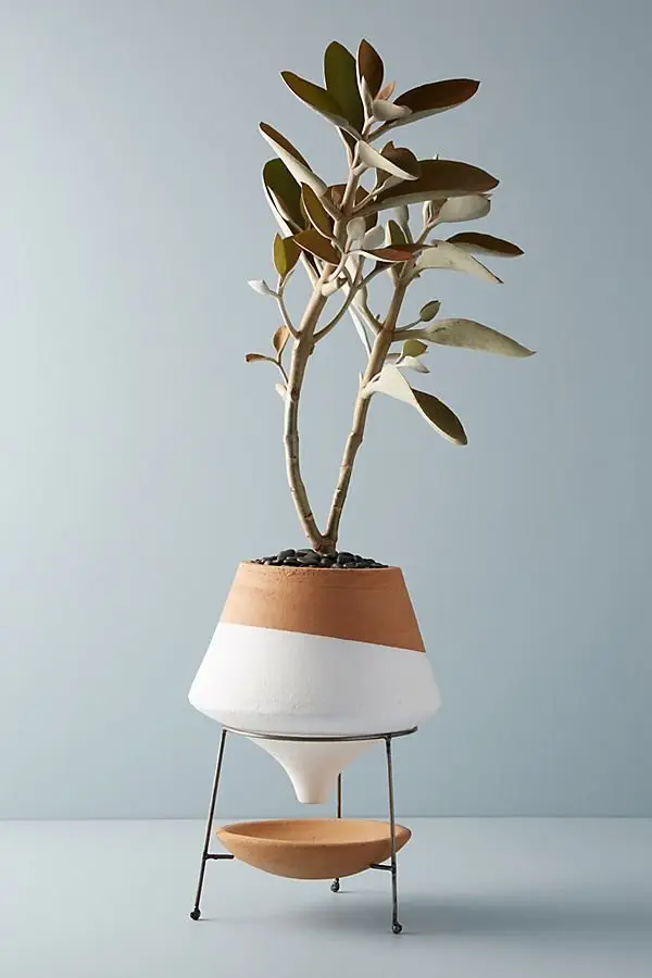 Image credit: anthropologie.com