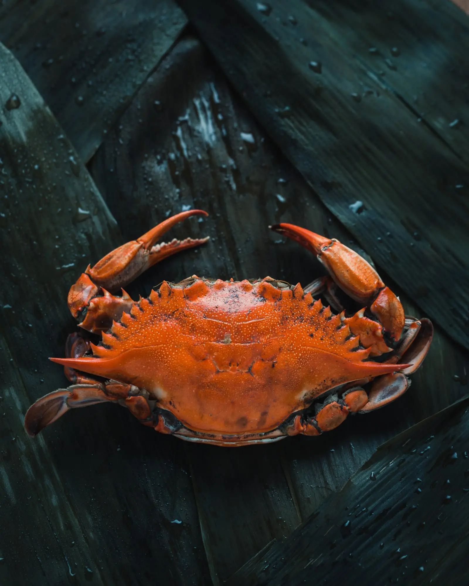 Image credit: Unsplash | Mae Mu