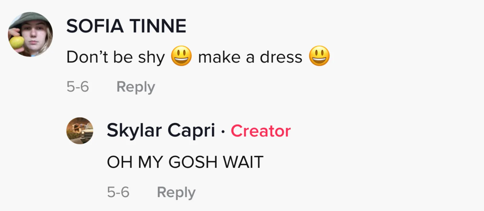 Image credit: TikTok | @skylarcapri