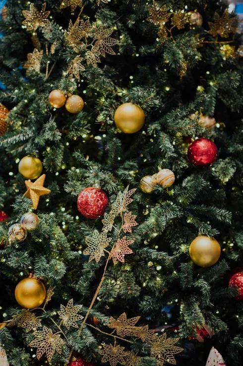 Image credit: Unsplash | chuttersnap