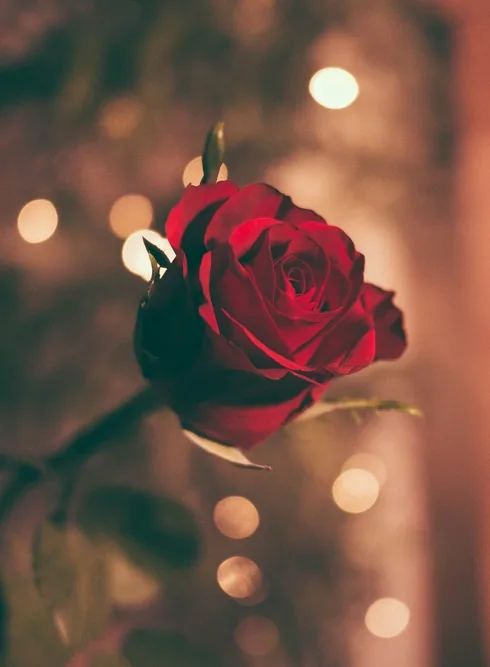Image credit: Unsplash | Jamie Street