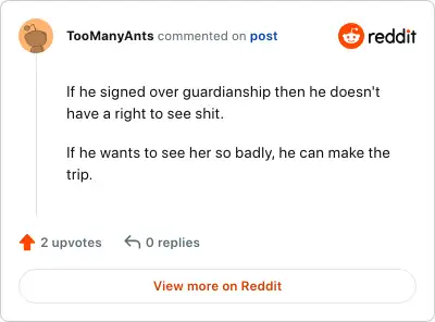 Image credit: TooManyAnts | TooManyAnts