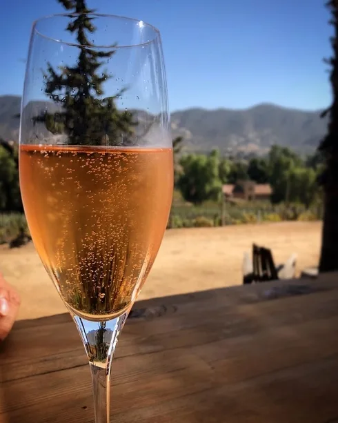 Image credit: Instagram | @mantelyservilleta