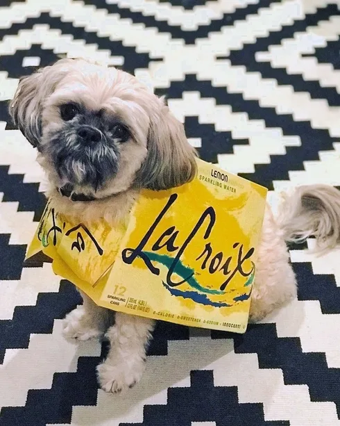 Image credit: Instagram | @lacroixwater