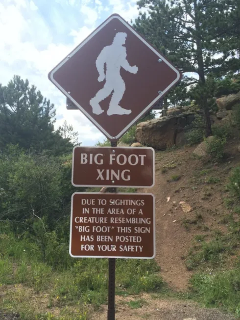 Image credit: Reddit | Weasel_Man