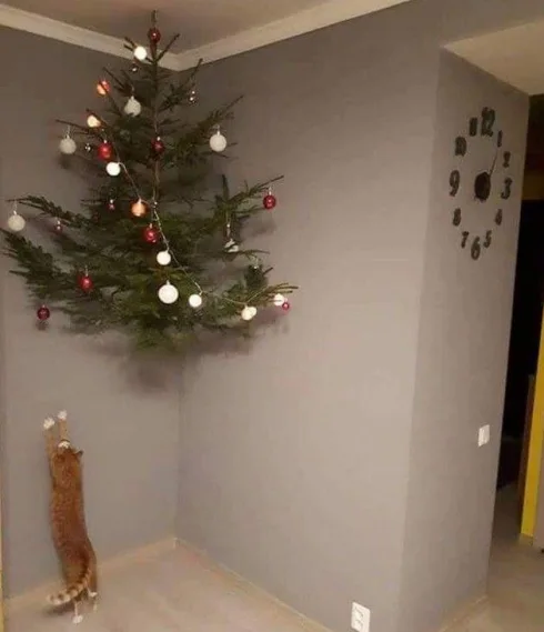 Image credit: Reddit | milovat