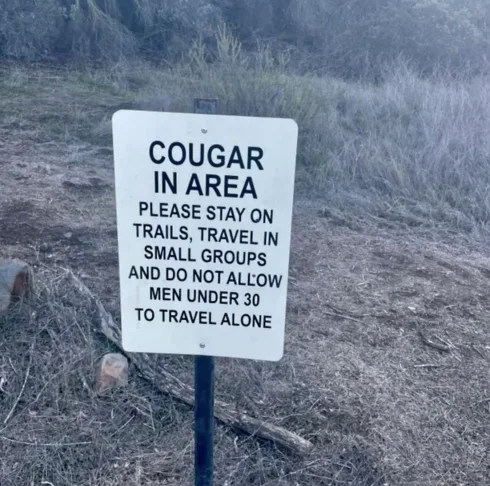 Image credit: Reddit | nofomo2