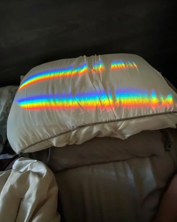 Image credit: Reddit | alloftheabove12