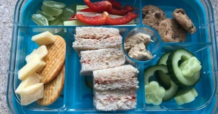 Mom Shocked When School Sends Her Son’s Lunch Home For Being ‘Unhealthy’