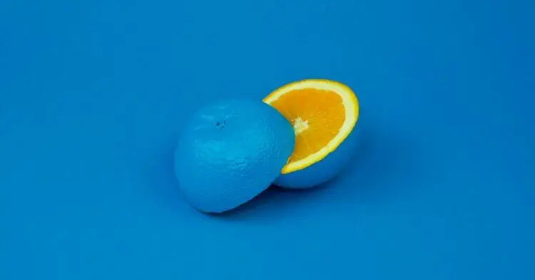 Blue colored orange (Unsplash | davisuko)