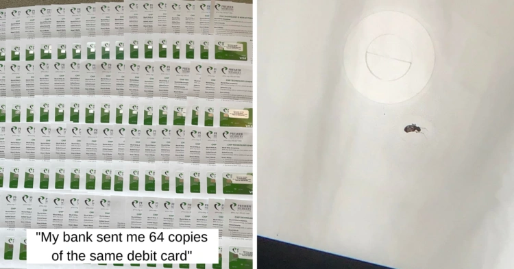 15+ Surprising Ways People’s Lives Got Weird