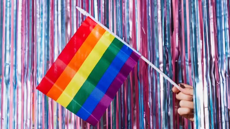 Pride Flag Stolen, Brother Caught. AITA For Calling Police?