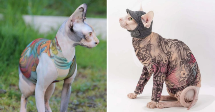 Etsy | SimplySphynx