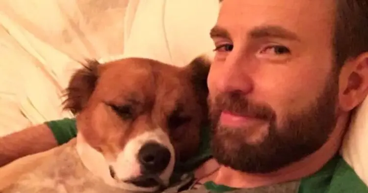 Chris Evans And His Rescue Dog Are The Heartwarming Duo We Need