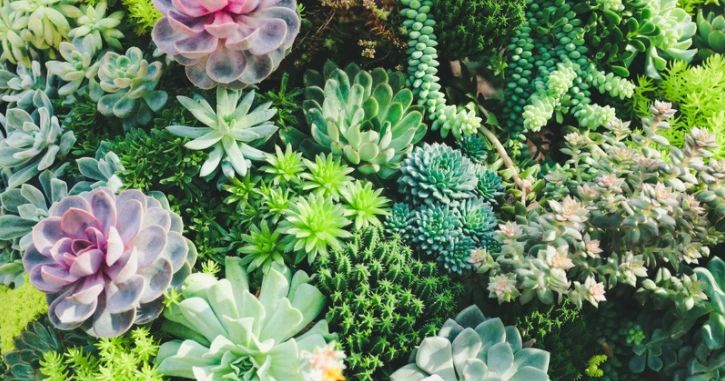 People Are Turning Wire Mannequins Into Stunning Garden Accessories