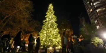 Christmas tree (Photo by Mert Alper Dervis/Anadolu via Getty Images)